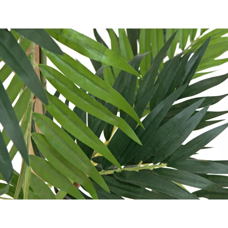 EUROPALMS Kunstpflanze Palme, 150cm 82509495