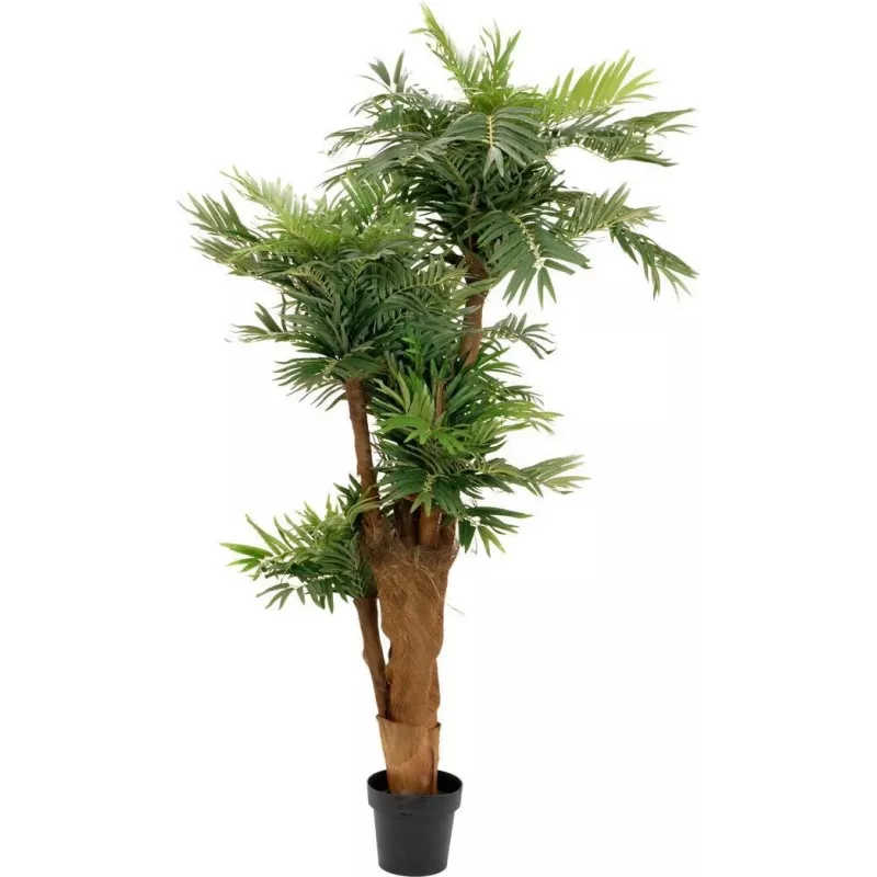 EUROPALMS Areca-Palme Kunstpflanze 170cm 82509408