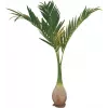 EUROPALMS Phoenix Palme Künstliche Pflanze, 240cm 82511353