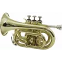 DIMAVERY TP-300 Bb Taschen-Trompete, Goldlack 26503720