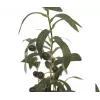 EUROPALMS Künstlicher Olivenbaum, 68 cm, grüne Blätter, schwarzer Topf 82506421