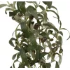 EUROPALMS Künstlicher Olivenbaum, 104 cm 82506423