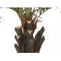EUROPALMS Kentia-Palme Deluxe Kunstpflanze 300cm 82511370