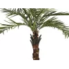 EUROPALMS Kentia-Palme Deluxe Kunstpflanze 300cm 82511370