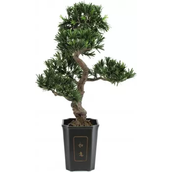 EUROPALMS Bonsai Podocarpus Künstliche Pflanze, 80cm 82600116