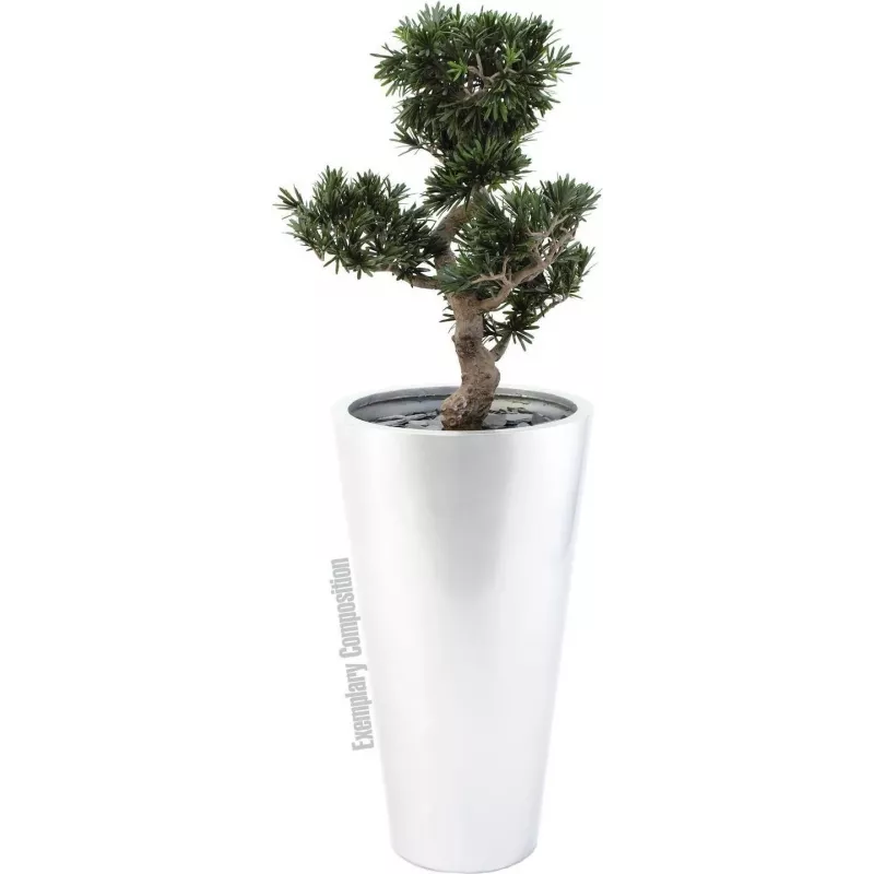 EUROPALMS Bonsai Podocarpus Künstliche Pflanze, 80cm 82600116