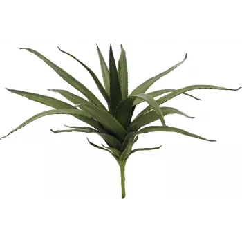 EUROPALMS Aloe (EVA), künstlich, grün, 50cm (82530570)