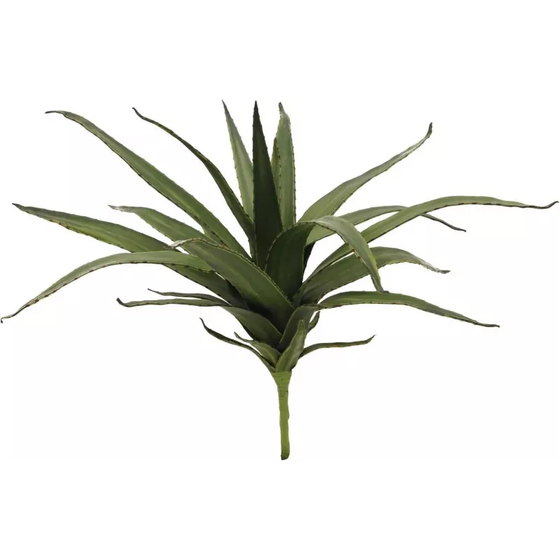 EUROPALMS Aloe (EVA), künstlich, grün, 50cm (82530570)