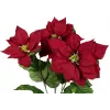 EUROPALMS Künstlicher Weihnachtssternbusch, Rot, 50cm 83500439