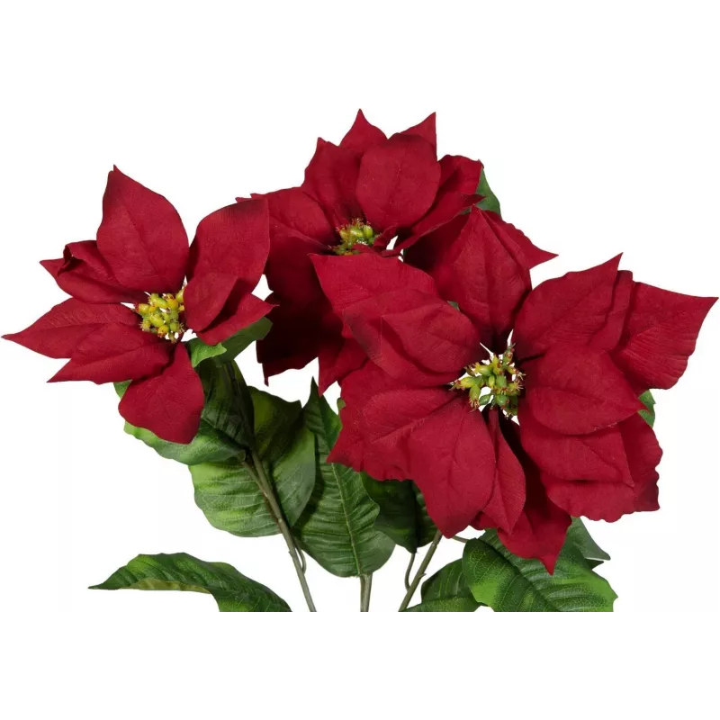 EUROPALMS Künstlicher Weihnachtssternbusch, Rot, 50cm 83500439