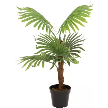 EUROPALMS Fächerpalme Kunstpflanze, 88cm, Grün, Schwarzer Topf 82509301