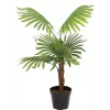 EUROPALMS Fächerpalme Kunstpflanze, 88cm, Grün, Schwarzer Topf 82509301