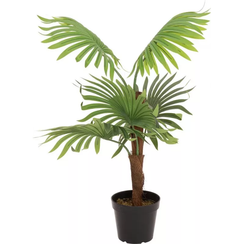 EUROPALMS Fächerpalme Kunstpflanze, 88cm, Grün, Schwarzer Topf 82509301