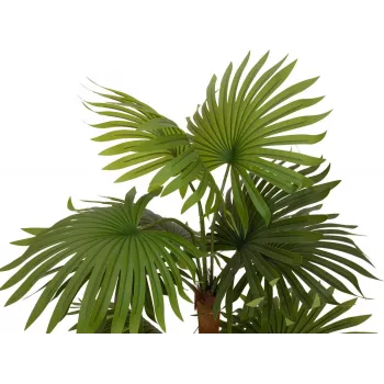 EUROPALMS Fächerpalme Kunstpflanze 130cm 82509302
