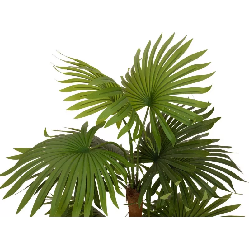 EUROPALMS Fächerpalme Kunstpflanze 130cm 82509302