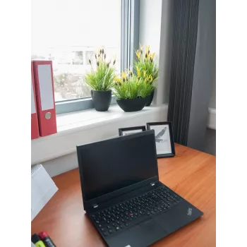 EUROPALMS Künstliche Haferwurzel-Pflanze, 40cm 82505639