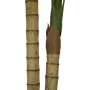 EUROPALMS Areca-Palme, 2-stämmig, Kunstpflanze, 120cm (82509410)
