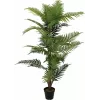 EUROPALMS Areca-Palme Kunstpflanze, 150cm 82509414