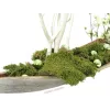 EUROPALMS Dekorationskugel 3,5 cm, Hellgrün, Glänzend, 48 Stück 8350129X
