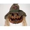 EUROPALMS Halloween Cursed Pumpkin Head, 70cm (83316171)