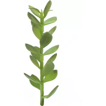 EUROPALMS Glücksbaum-Sprössling Kunstpflanze, 30cm 82809010