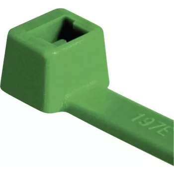 HellermannTyton T80R-N66-GN-C1 Standard-Kabelbinder, innenverzahnt, 210 mm x 4,6 mm, grün, 100 Stück 116-08015