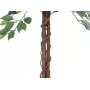EUROPALMS Ficus Benjamina mehrstämmige Kunstpflanze, 150cm 82506125