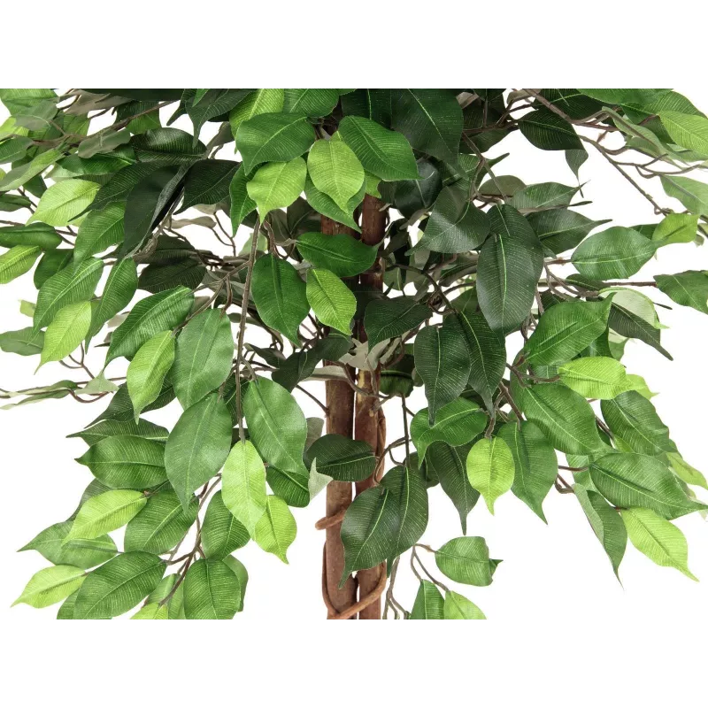 EUROPALMS Ficus Benjamina mehrstämmige Kunstpflanze, 150cm 82506125