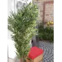 EUROPALMS Bambus Mehrstämmige Kunstpflanze, 180 cm 82509236