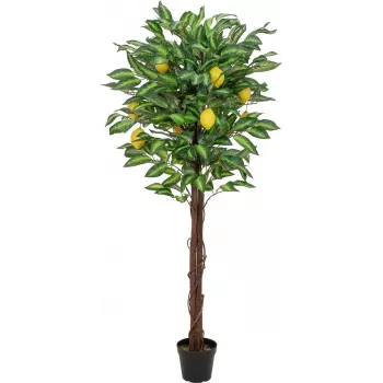 EUROPALMS Künstlicher Zitronenbaum, 150cm 82507815