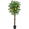 EUROPALMS Künstlicher Zitronenbaum, 150cm 82507815
