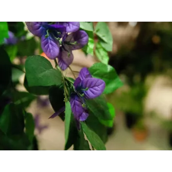 EUROPALMS Bougainvillea Lavendel Kunstpflanze 180cm 82507036