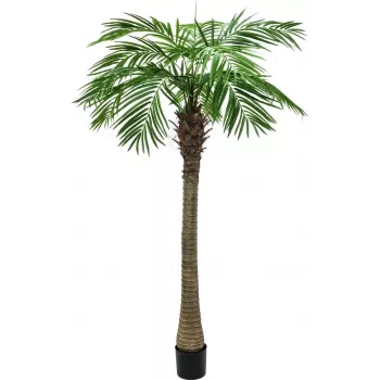 EUROPALMS Phoenix Palm Luxor Kunstpflanze, 300cm 82510723