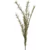 EUROPALMS Künstlicher Rosmarinzweig (EVA), Grün 82531064