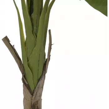 EUROPALMS Bananenbaum Kunstpflanze, 145cm 82509504