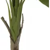 EUROPALMS Bananenbaum Kunstpflanze, 145cm 82509504