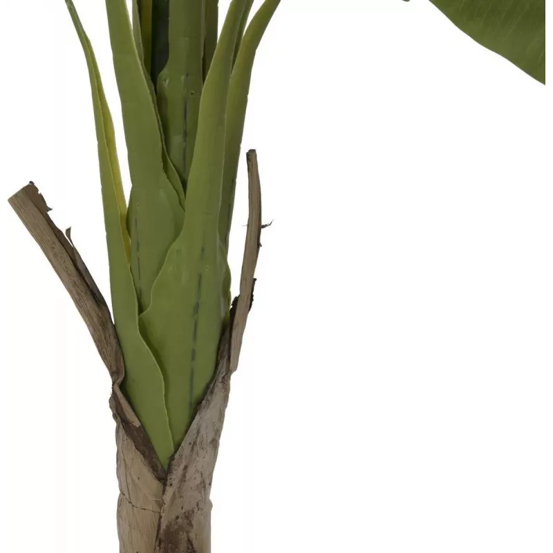 EUROPALMS Bananenbaum Kunstpflanze, 145cm 82509504