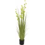 EUROPALMS Pompom Grass Kunstpflanze, 122 cm, Grün 82500136