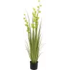 EUROPALMS Pompom Grass Kunstpflanze, 122 cm, Grün 82500136
