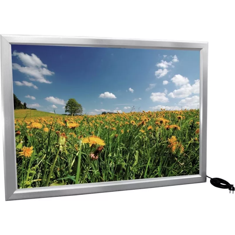 EUROPALMS Reklamewand A0, beleuchtet, aluminium (83331753)