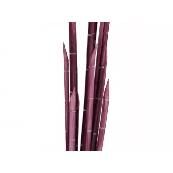 EUROPALMS Magic Onion Grass Kunstpflanze, Rosa, 134 cm 82532003