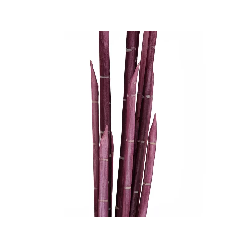 EUROPALMS Magic Onion Grass Kunstpflanze, Rosa, 134 cm 82532003