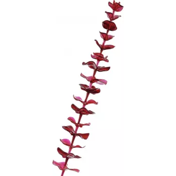EUROPALMS Künstlicher Kristall-Eukalyptus-Zweig, Burgunderrot, 81cm 82600203