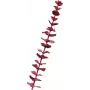 EUROPALMS Künstlicher Kristall-Eukalyptus-Zweig, Burgunderrot, 81cm 82600203