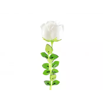 EUROPALMS Crystal Rose Kunstblume, Weiß, 81 cm, 12 Stück 82600208