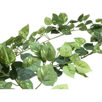 EUROPALMS Pothos Girlande Classic, künstlich, 180cm 82503728