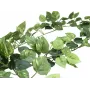 EUROPALMS Pothos Girlande Classic, künstlich, 180cm 82503728