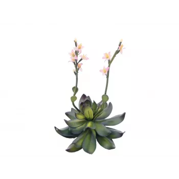 EUROPALMS Stone Rose (EVA) Kunstpflanze, Rosa, 32cm 82530572