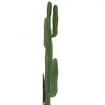EUROPALMS Mexikanischer Kaktus Künstliche Pflanze, Grün, 123cm 82801072