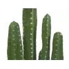 EUROPALMS Mexikanischer Kaktus Künstliche Pflanze, Grün, 123cm 82801072
